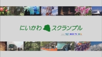 にいかわスクランブル（60分）
